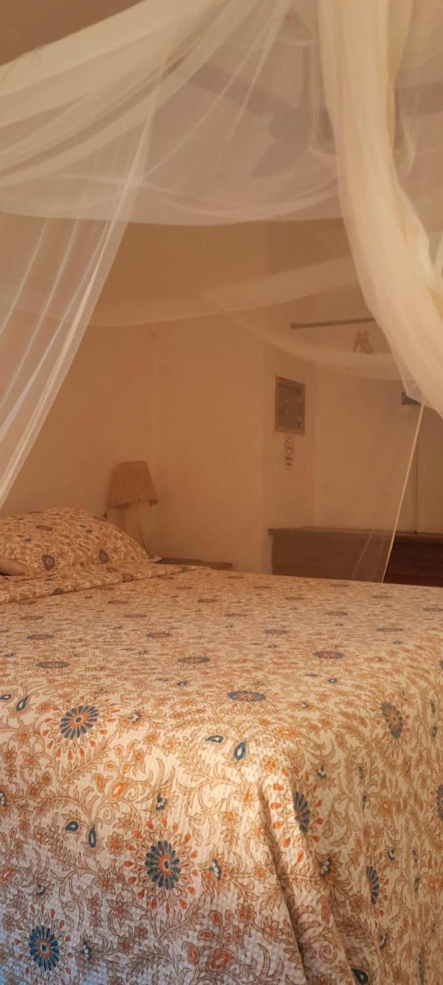 Mais Que Nada Itacare - Hostel, Bar & Breakfast ภายนอก รูปภาพ